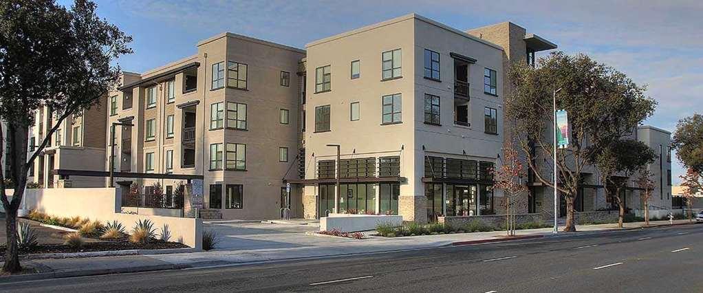 Oakwood Mountain View Apartment Bagian luar foto